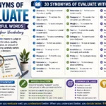 synonyms for evaluate
